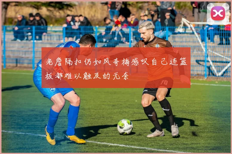 老詹隔扣仍如风夸梅感叹自己连篮板都难以触及的无奈