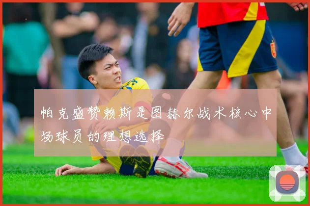 帕克盛赞赖斯是图赫尔战术核心中场球员的理想选择