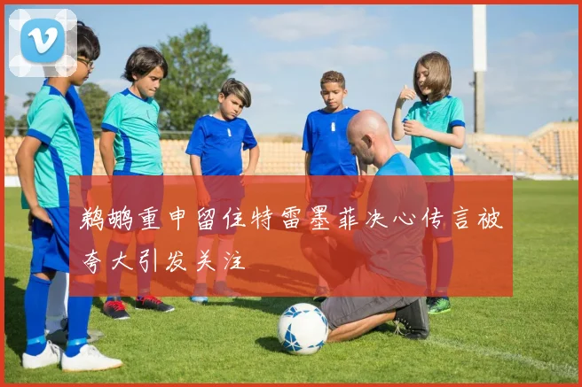 鹈鹕重申留住特雷墨菲决心传言被夸大引发关注